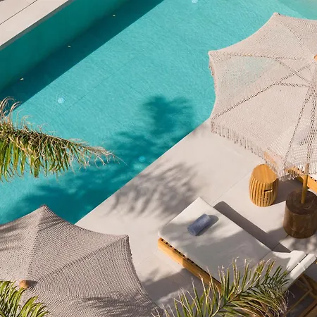 Palmeral Luxury Villa *